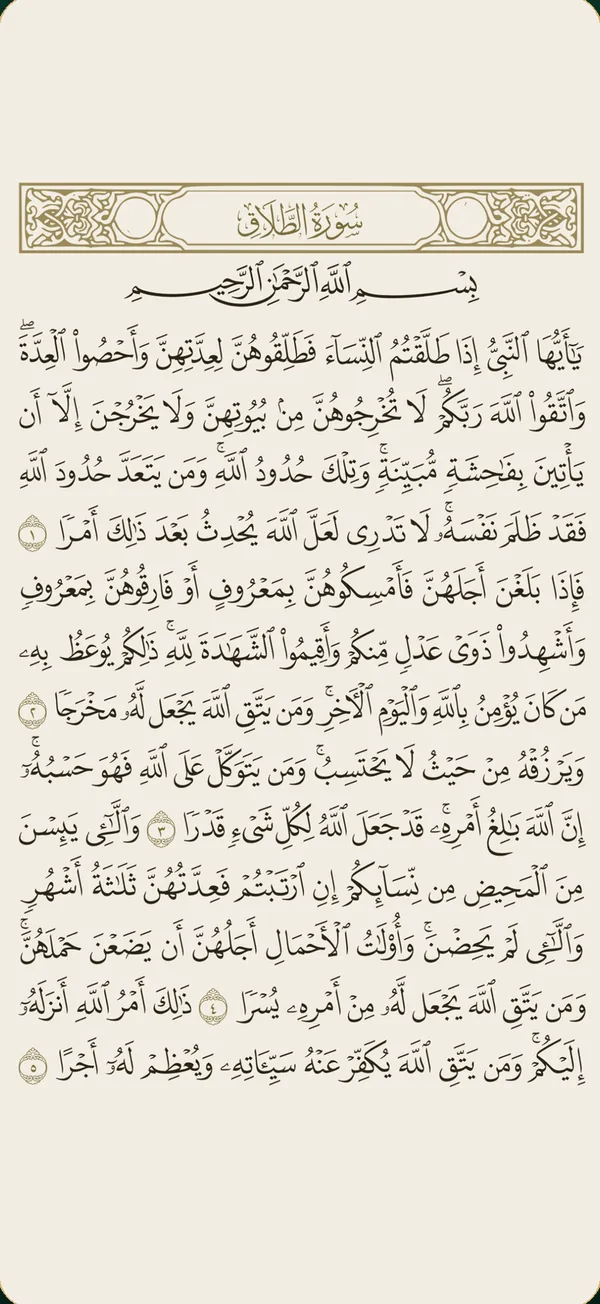 The Mushaf page on its own, with the header and the buttons faded away